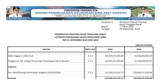 Laporan Realisasi APBD Provinsi Nusa Tenggara Barat Tahun 2024: Wujud Transparansi dan Akuntabilitas Pengelolaan Keuangan Daerah (Bagian 3)