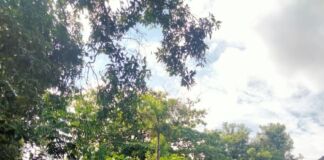 Ini Lokasi Shuttle Bus Tujuan Sirkuit Mandalika