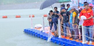 Gubernur Iqbal Ikut Tebar Sejuta Benih Ikan di Bendungan Meninting