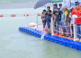 Gubernur Iqbal Ikut Tebar Sejuta Benih Ikan di Bendungan Meninting