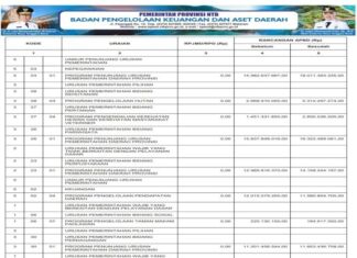 Laporan Realisasi APBD Provinsi Nusa Tenggara Barat Tahun 2024: Wujud Transparansi dan Akuntabilitas Pengelolaan Keuangan Daerah (Bagian 42)