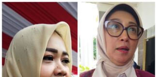 Turunkan Stunting, Kader Posyandu Dilibatkan