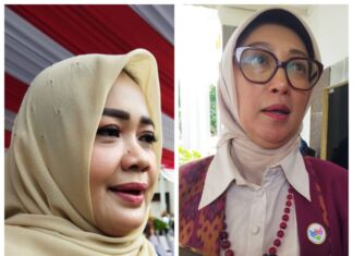 Turunkan Stunting, Kader Posyandu Dilibatkan