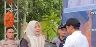 Meriahkan HUT NTB, Pemprov NTB Tanam 5000 pohon