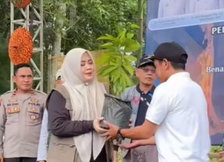 Meriahkan HUT NTB, Pemprov NTB Tanam 5000 pohon