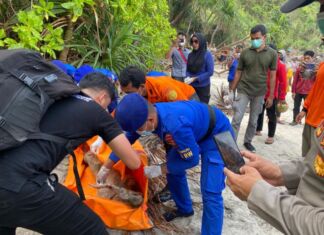 Perempuan Tanpa Identitas Ditemukan di Pesisir Lombok Utara