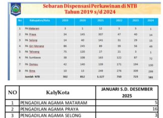 2025, Jumlah Surat Dispensasi Nikah Turun
