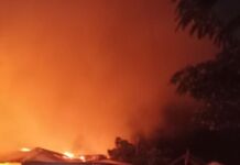 Kebakaran Alas Sumbawa, Satu Anggota Damkar Meninggal: Gubernur Perintahkan Langkah Darurat