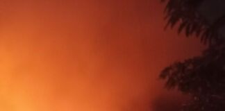 Kebakaran Alas Sumbawa, Satu Anggota Damkar Meninggal: Gubernur Perintahkan Langkah Darurat