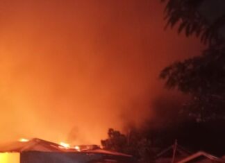 Kebakaran Alas Sumbawa, Satu Anggota Damkar Meninggal: Gubernur Perintahkan Langkah Darurat