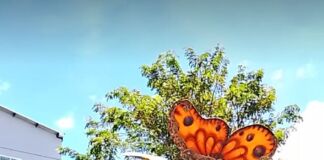 Ribuan Warga Padati Pawai Ogoh-ogoh