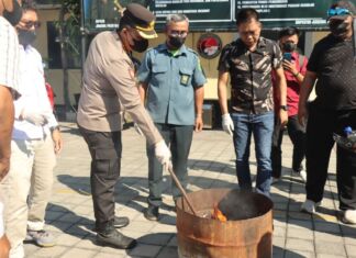 Polres Mataram Musnahkan Ganja