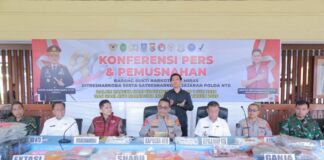 Enam Bulan, Polda NTB Ungkap 442 Kasus Narkoba