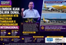NTB Cetak Rekor Baru, Lombok Jadi Destinasi Non Bali-Jawa dengan Akses Terbanyak dari Singapura